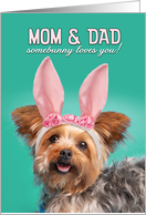 Happy Easter Parents Cute Yorkie Dog in Bunny Ears Humor card