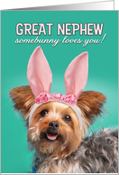 Happy Easter Great Nephew Cute Yorkie Dog in Bunny Ears Humor card