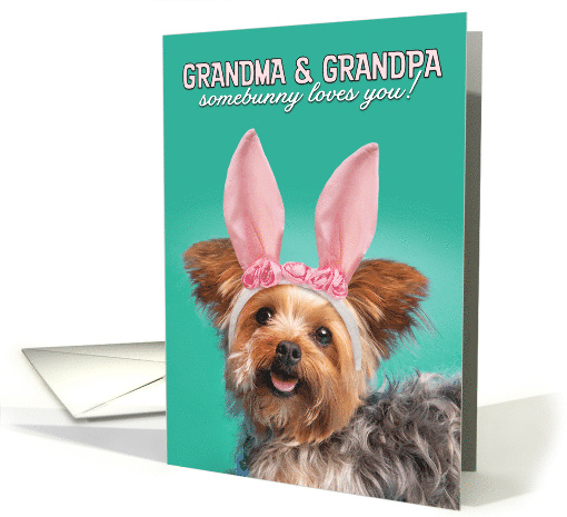 Happy Easter Grandparents Cute Yorkie Dog in Bunny Ears Humor card