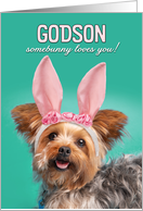 Happy Easter Godson Cute Yorkie Dog in Bunny Ears Humor card