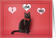 Happy Valentine’s Day I Love You Cat in Bow Tie card