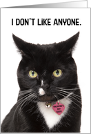 Happy Valentine’s Day Miserable Cat Humor card