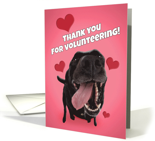 Thank You For Volunteering Animal Shelter Cute Lab Dog Photograph card