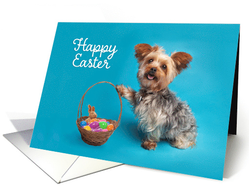 Happy Easter For Anyone Cute Yorkie Dog With Easter Basket card