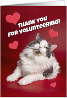 Thank You For Volunteering Animal Shelter Cute Cat Photograph card