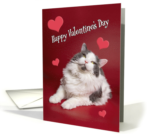 Happy Valentine's Day For Anyone Cute Smiling Cat on Red card
