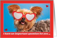 Happy Valentine’s Day Be Mine cute Yorkie in Sunglasses Humor card
