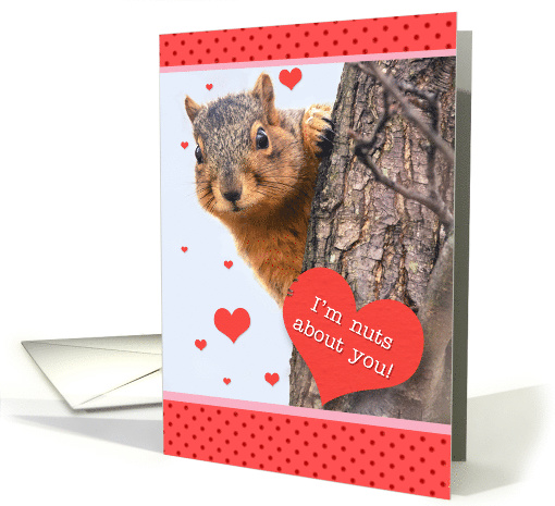 Happy Valentine's Day Cute Squirrel with Heart Humor card (1595444)