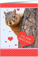 Happy Valentine’s Day Cute Squirrel with Heart Humor card