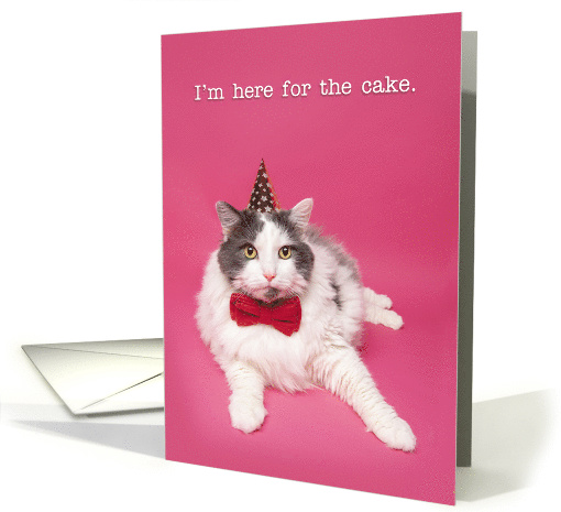 Happy Birthday For Anyone Fat Cat in Party Hay Humor card (1595502)