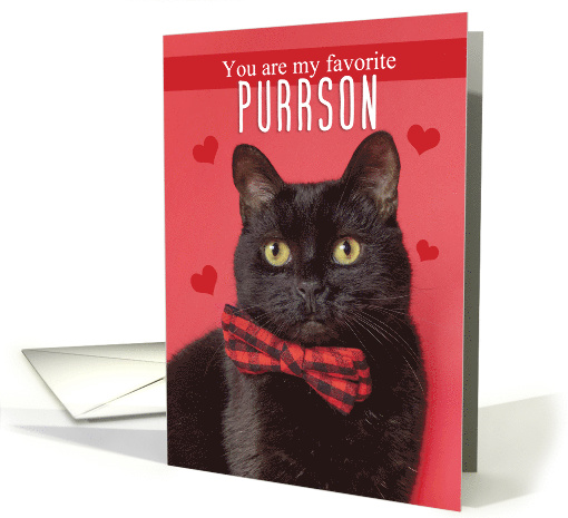 Happy Valentine's Day Favorite PURRson Cute Cat in Bow Tie Humor card