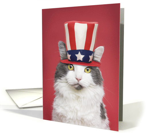 Happy Presidents' Day For Anyone Cute Patriotic Cat in Hat Humor card