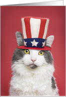 Happy Presidents’ Day For Anyone Cute Patriotic Cat in Hat Humor card