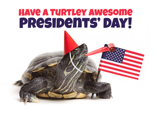 Happy Presidents' Day Turtle Humor Blank Inside