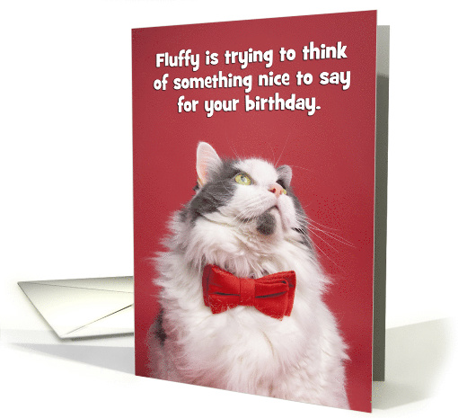 Happy Birthday For Anyone Funny Cat Thinking Humor card (1595928)