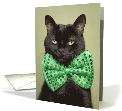 Happy St. Patrick's Day For Anyone Cute Black Cat in... (1598352)
