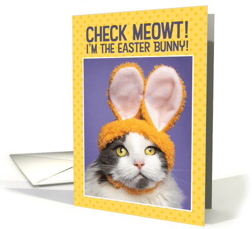 Happy Easter For Anyone Funny Cat in Bunny Ears Humor card (1598396)