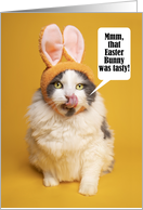 Happy Easter For Anyone Cat in Bunny Ears Licking Face Humor card