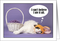 Happy Easter For Anyone Cat in Bunny Ears With Empty Easter Basket card