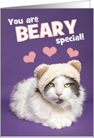 Happy Valentine’s Day For Anyone Cute Cat in Bear Ears card