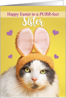 Happy Easter Sister Cute Cat in Bunny Ears Humor card