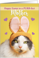 Happy Easter Mother Cute Cat in Bunny Ears Humor card