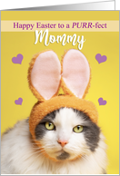 Happy Easter Mommy Cute Cat in Bunny Ears Humor card