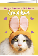 Happy Easter Grandson Cute Cat in Bunny Ears Humor card