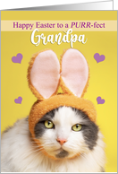Happy Easter Grandpa Cute Cat in Bunny Ears Humor card