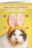 Happy Easter Goddaughter Cute Cat in Bunny Ears Humor card