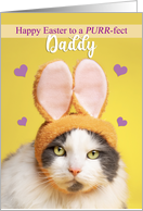 Happy Easter Daddy Cute Cat in Bunny Ears Humor card