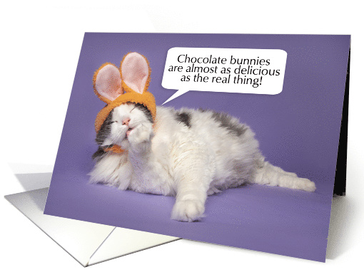 Happy Easter For Anyone Cute Cat in Buny Ears Licking Paw Humor card