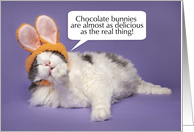 Happy Easter For Anyone Cute Cat in Buny Ears Licking Paw Humor card