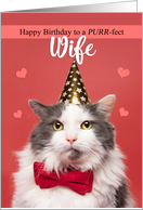 Happy Birthday Wife Cute Cat in Party Hat and Bow Tie Humor card