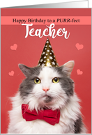 Happy Birthday Teacher Cute Cat in Party Hat and Bow Tie Humor card