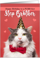 Happy Birthday Step Brother Cute Cat in Party Hat and Bow Tie Humor card