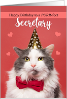 Happy Birthday Secretary Cute Cat in Party Hat and Bow Tie Humor card