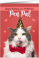 Happy Birthday Pen Pal Cute Cat in Party Hat and Bow Tie Humor card