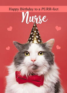 Happy Birthday Nurse...