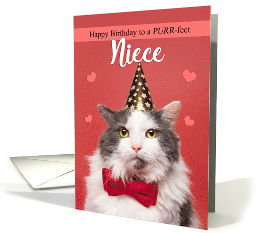 Happy Birthday Niece Cute Cat in Party Hat and Bow Tie Humor card