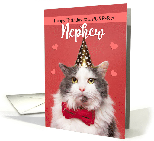 Happy Birthday Nephew Cute Cat in Party Hat and Bow Tie Humor card