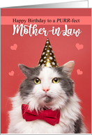 Happy Birthday Mother-in-Law Cute Cat in Party Hat and Bow Tie Humor card
