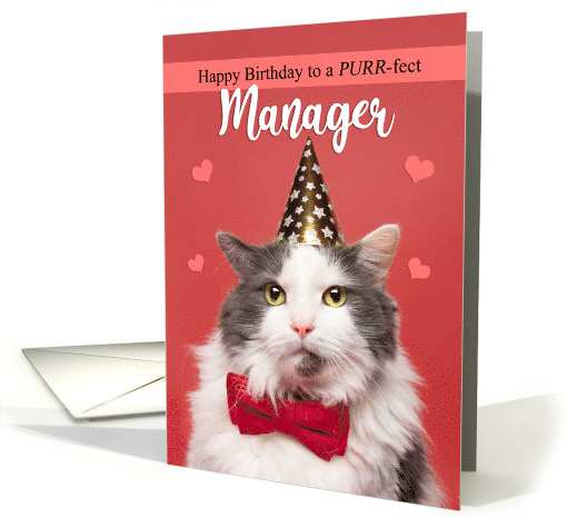 Happy Birthday Manager Cute Cat in Party Hat and Bow Tie Humor card