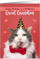Happy Birthday Great Grandson Cute Cat in Party Hat and Bow Tie Humor card