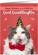 Happy Birthday Great Granddaughter Cat in Party Hat and Bow Tie Humor card