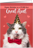 Happy Birthday Great Aunt Cat in Party Hat and Bow Tie Humor card