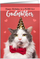 Happy Birthday Godmother Cat in Party Hat and Bow Tie Humor card