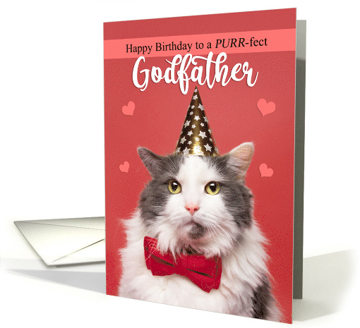 Happy Birthday Godfather Cat in Party Hat and Bow Tie Humor card