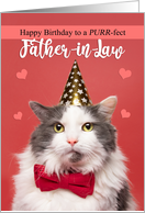 Happy Birthday Father-in-Law Cat in Party Hat and Bow Tie Humor card