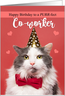 Happy Birthday Co-Worker Cat in Party Hat and Bow Tie Humor card